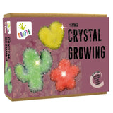 Andreu Toys Forms Crystal Growing - Laadlee