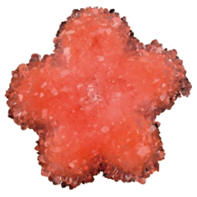 Andreu Toys Forms Crystal Growing - Laadlee