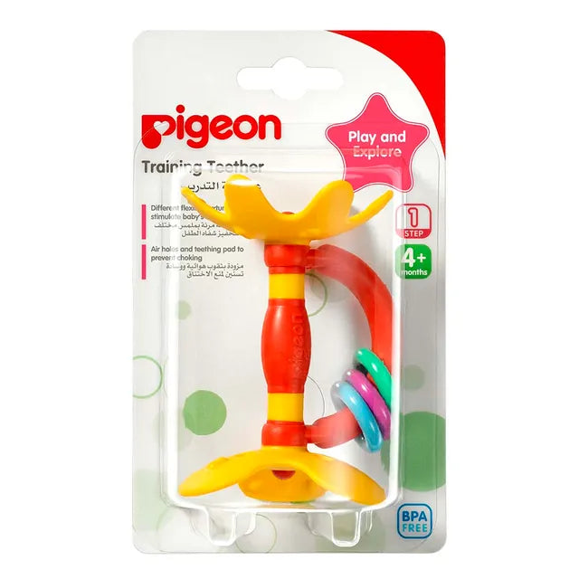 Pigeon Training Teether Step 1