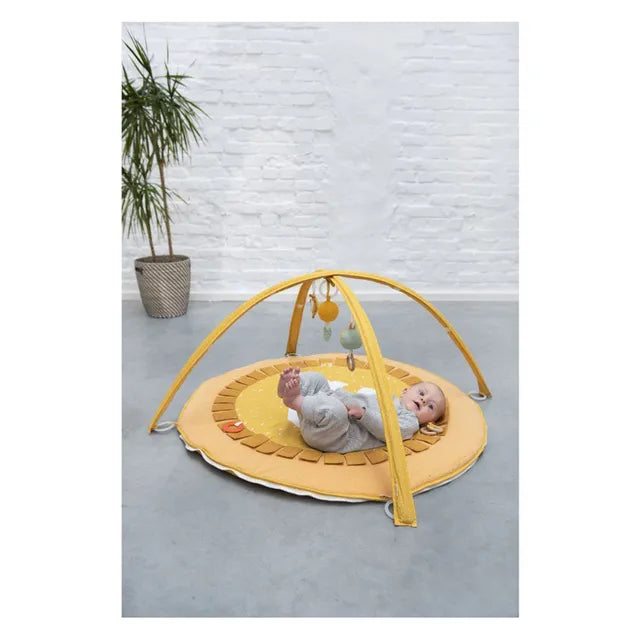 Trixie Activity Mat - Mr. Lion - Laadlee