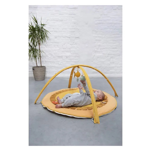 Trixie Activity Mat - Mr. Lion - Laadlee