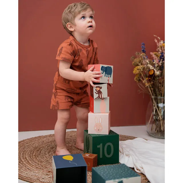 Trixie Stacking Blocks - Laadlee