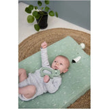 Trixie Natural Rubber Grasping Toy - Mr. Polar Bear - Laadlee