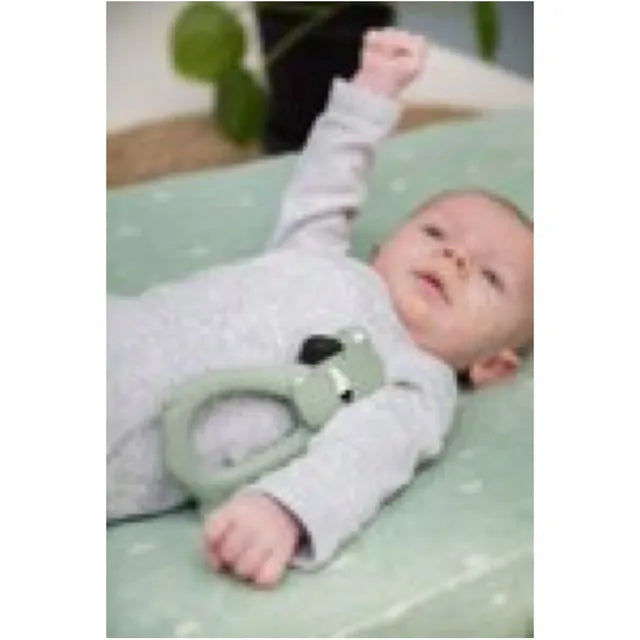 Trixie Natural Rubber Grasping Toy - Mr. Polar Bear - Laadlee