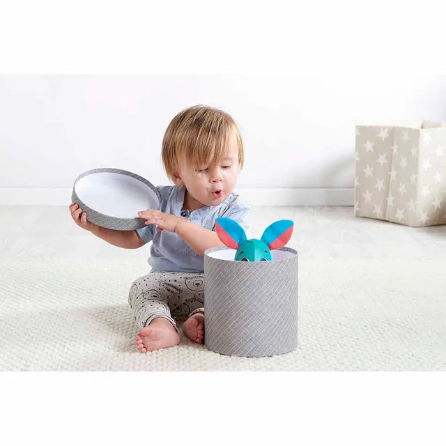 Tiny Love Interactive Wonder Buddy Thomas Rabbit - Blue - Laadlee