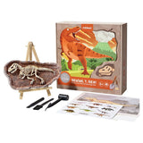 Mideer Revive a T-Rex - Dig a Dinosaur Kit