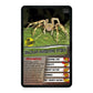 Winning Moves Top Trumps Spiders Card