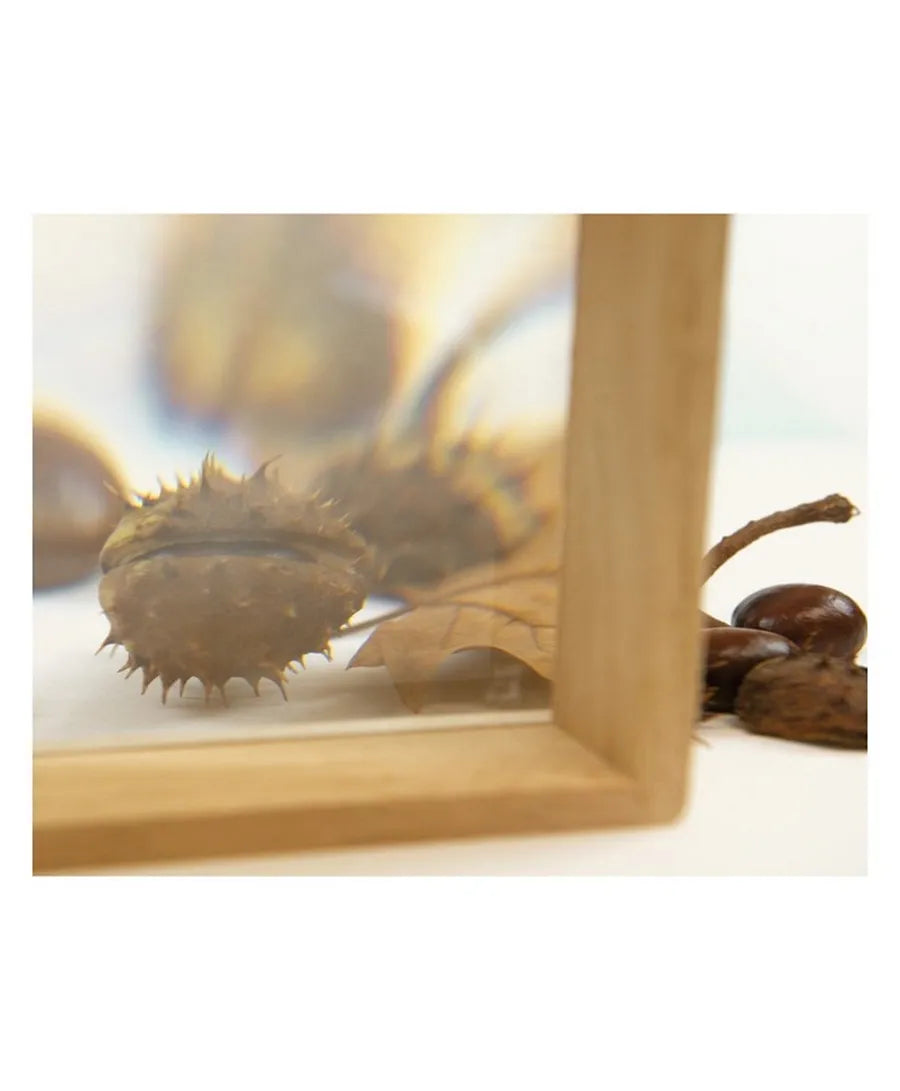 Andreu Toys 6 Pcs. Magnifier Cases - Laadlee