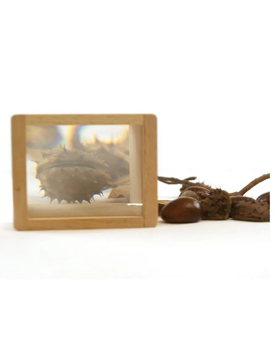 Andreu Toys 6 Pcs. Magnifier Cases - Laadlee