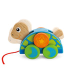 Viga Pull Along -Turtle