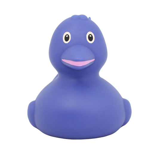 Lilalu Rubber Dolphin Duck