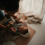 Mushie Teether Rainbow Mauve - Laadlee