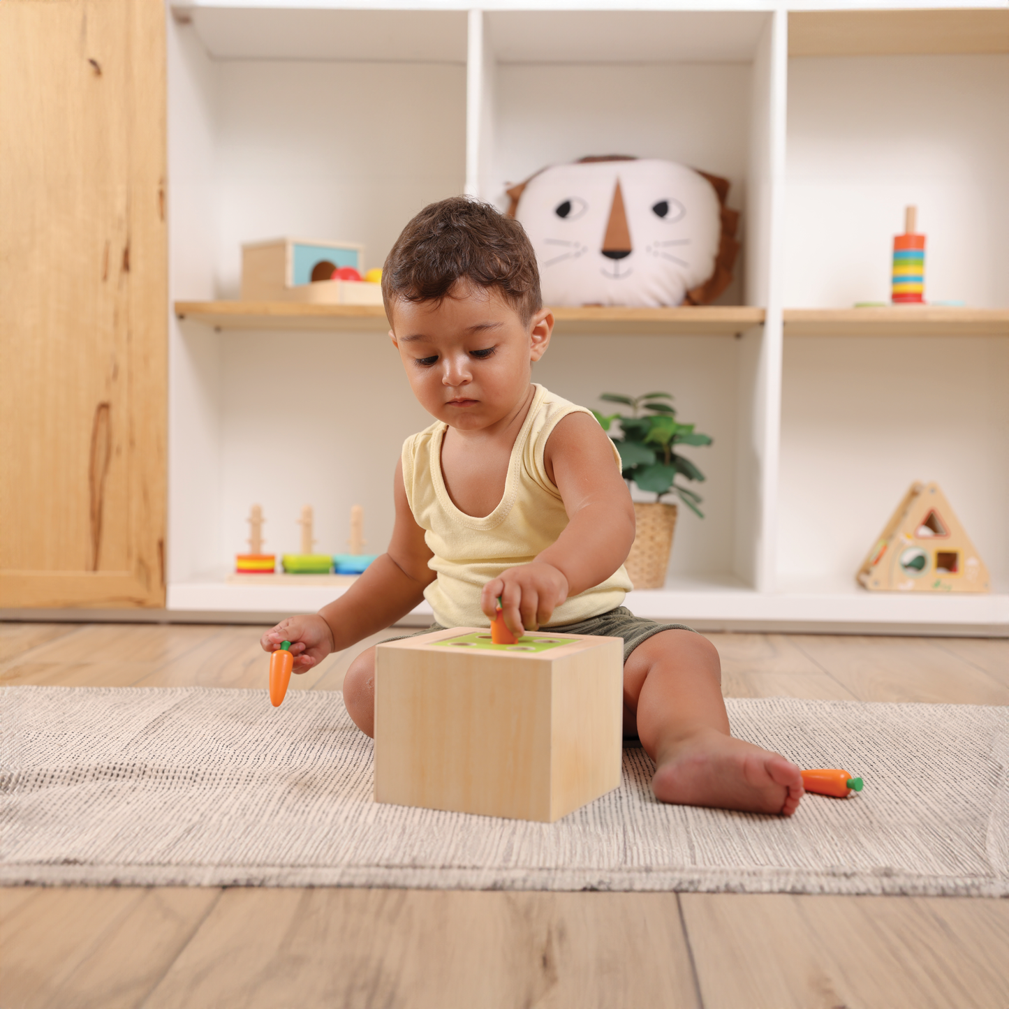 Bimbly Montessori Box - The Curious Mind