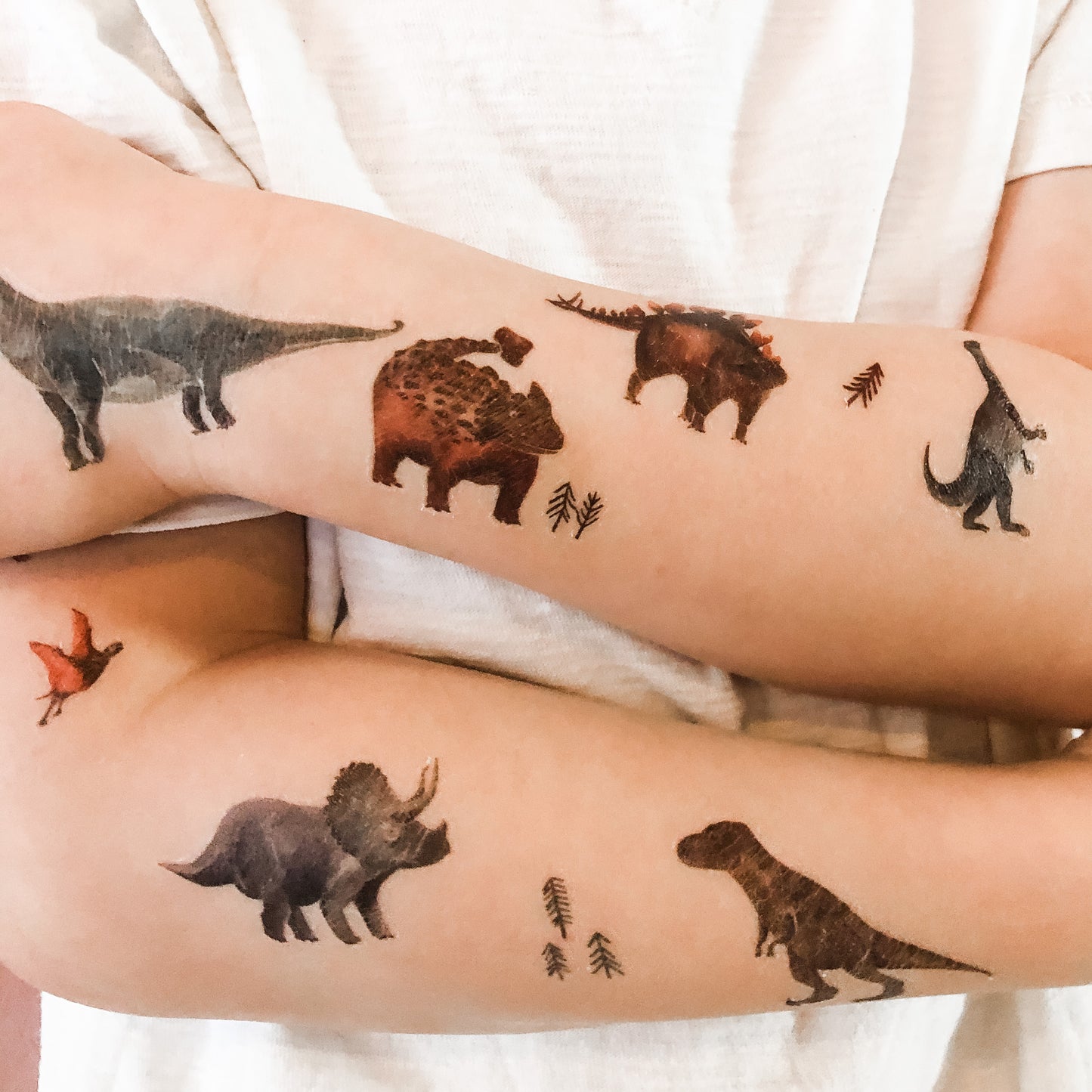 Nuuk Organic Tattoos - Dinosaurs