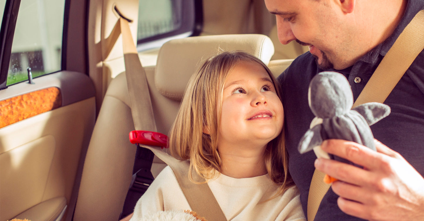 Smart Kid Belt - Child Restraint System