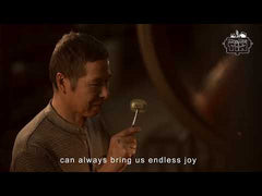 Mr & Mrs Tin - Electrobot