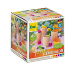 Erzi Assortment Fresh Lemonade - Laadlee