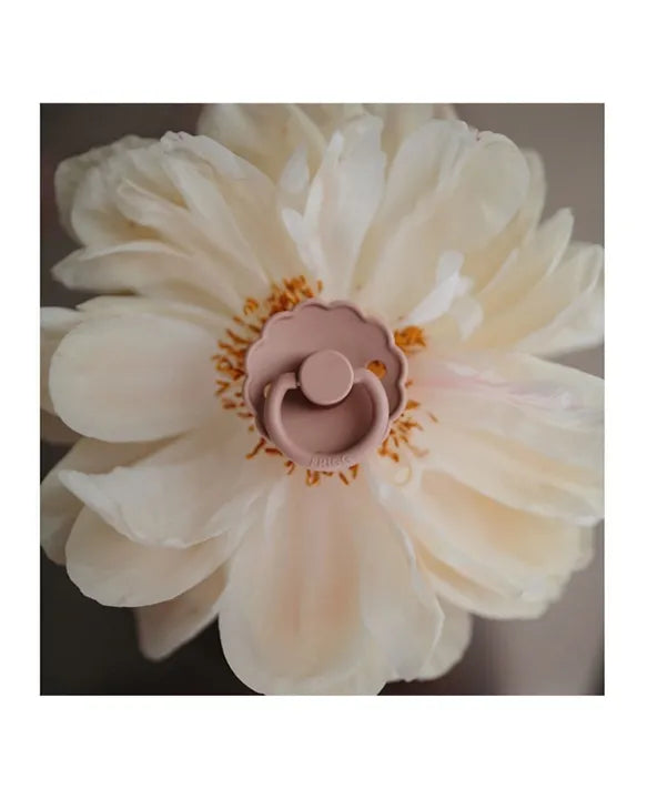 Frigg Daisy Silicone Baby Pacifier 0-6M, 2Pack, Blush/Cedar - Size 1 - Laadlee