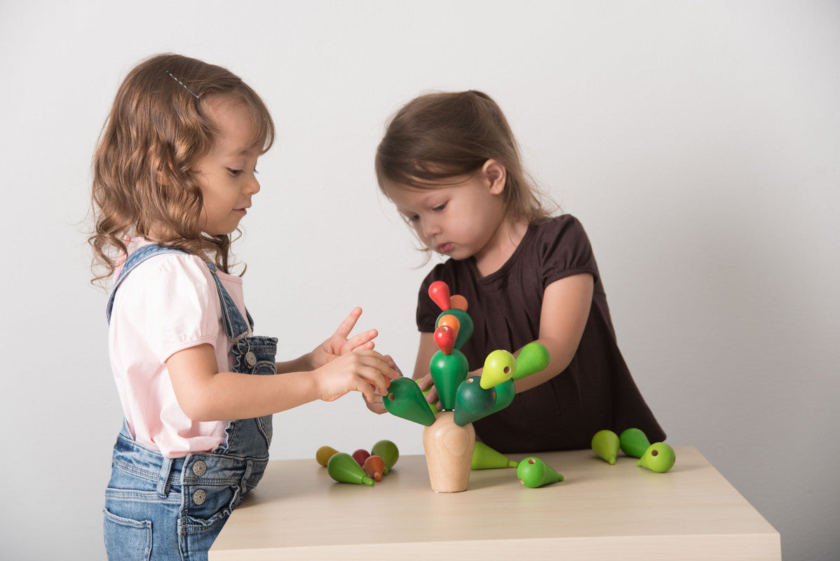 PlanToys Balancing Cactus - Laadlee