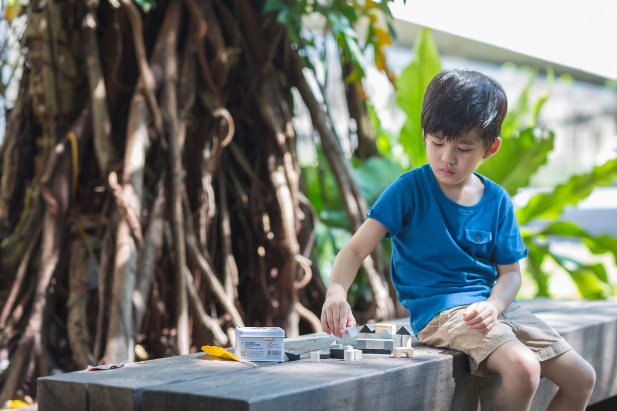 PlanToys Construction Set - Laadlee