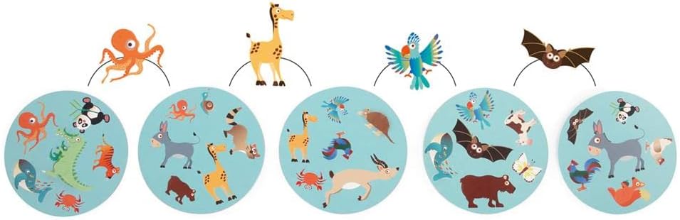 Scratch Europe Raccoon Match - Laadlee