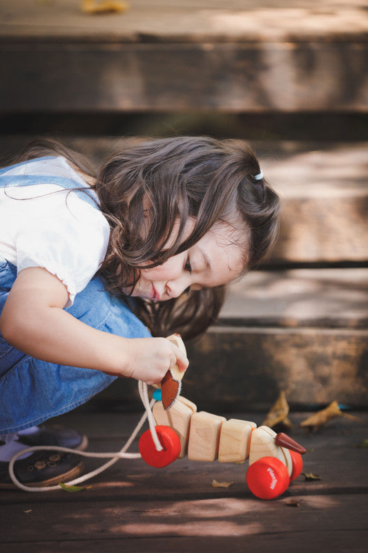 PlanToys Happy Puppy - Laadlee