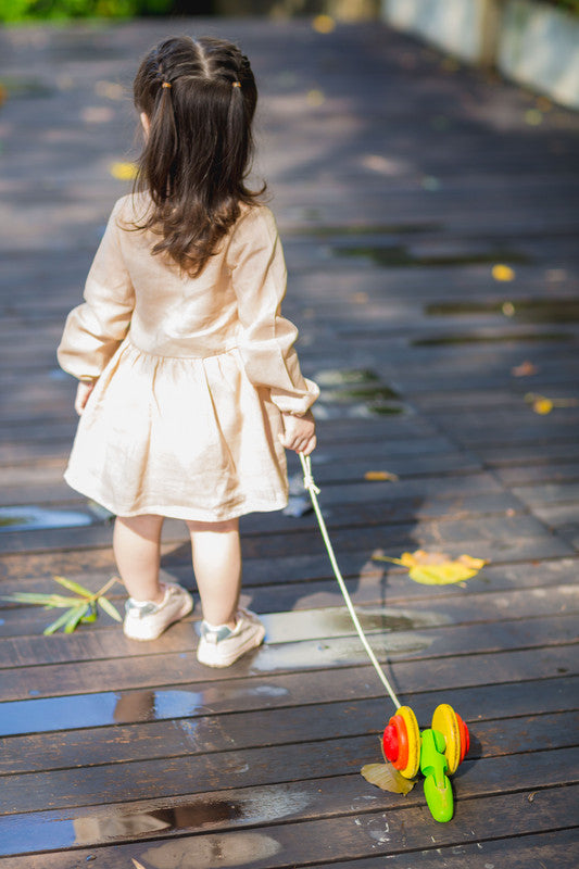 PlanToys Pull-Along Snail - Laadlee