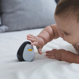 PlanToys Penguin - Laadlee