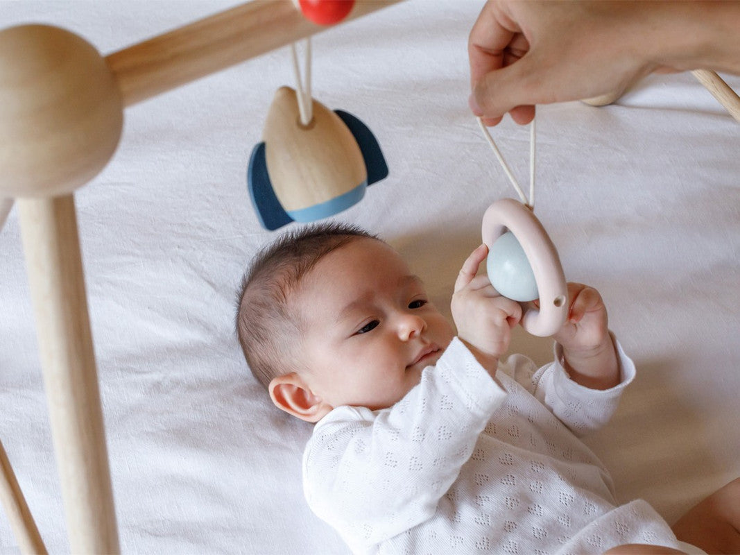 PlanToys Play Gym - Orchard - Laadlee