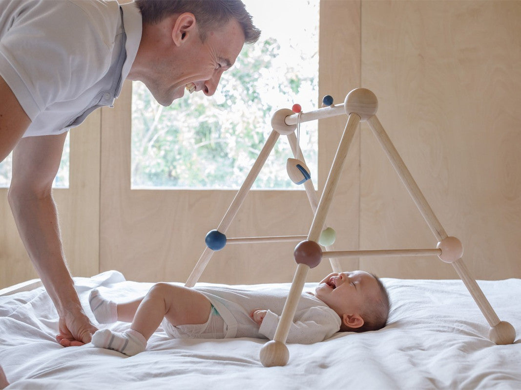 PlanToys Play Gym - Orchard - Laadlee