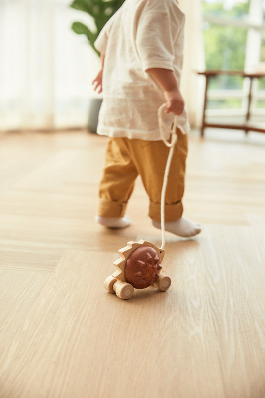 PlanToys Pull-Along Hedgehog - Brown - Laadlee