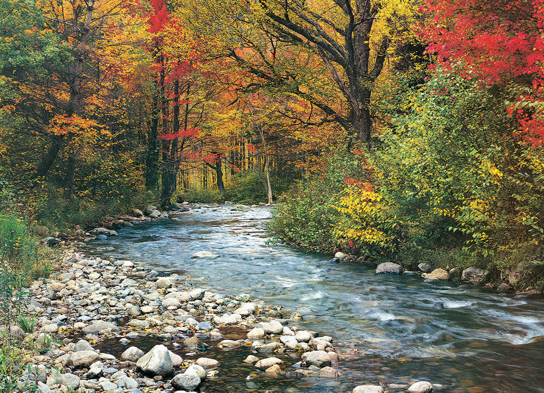 EuroGraphics Forest Stream - 1000 Pcs Puzzle - Laadlee