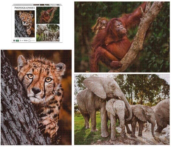 Ambassador - Photographers Collection - 1000 Pc. Puzzle Tri-Pack - Boyd #1 - Laadlee