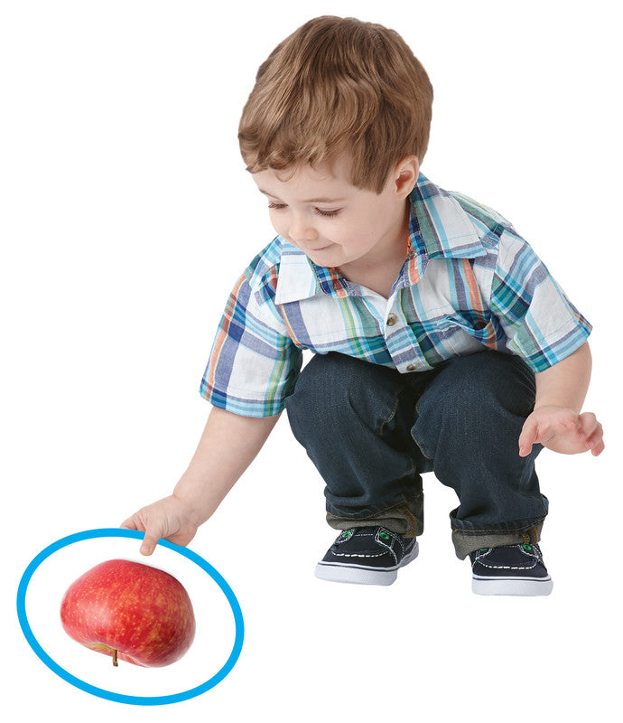 MindWare Seek-A-Boo: Seek-And-Find Memory Game - Laadlee