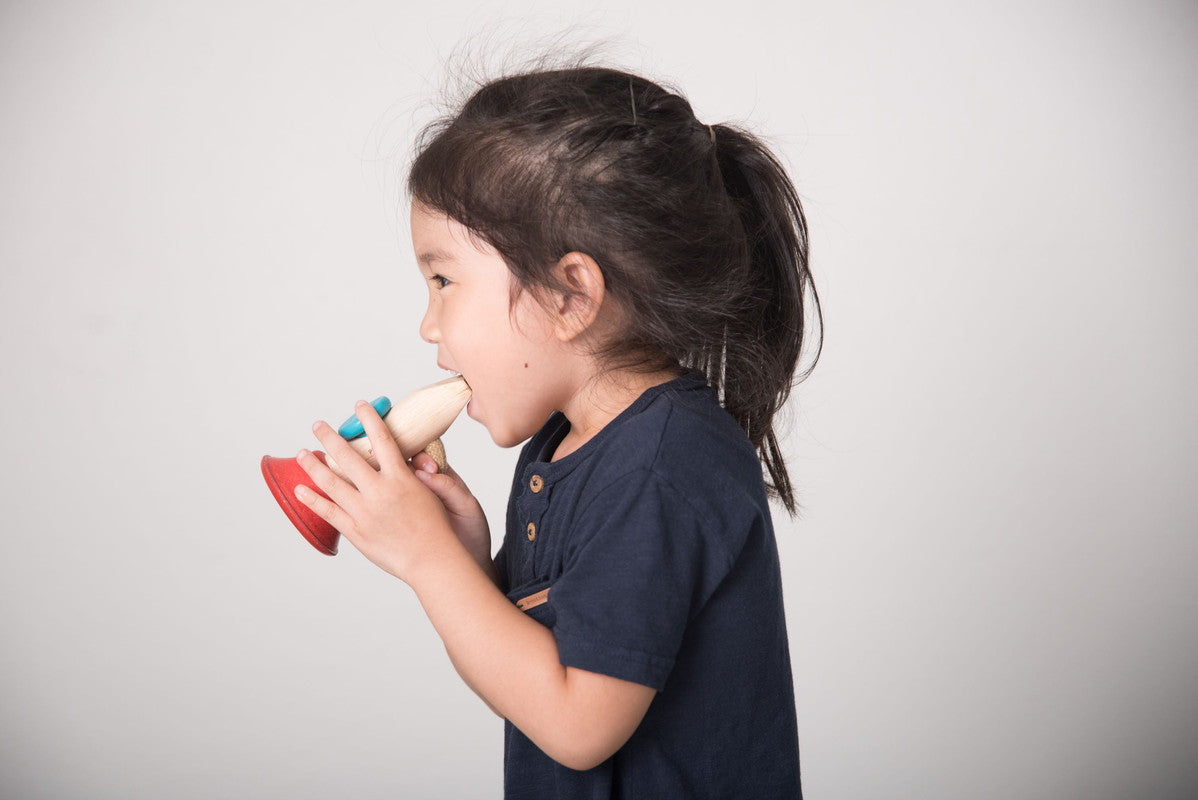 PlanToys Kazoo - Laadlee