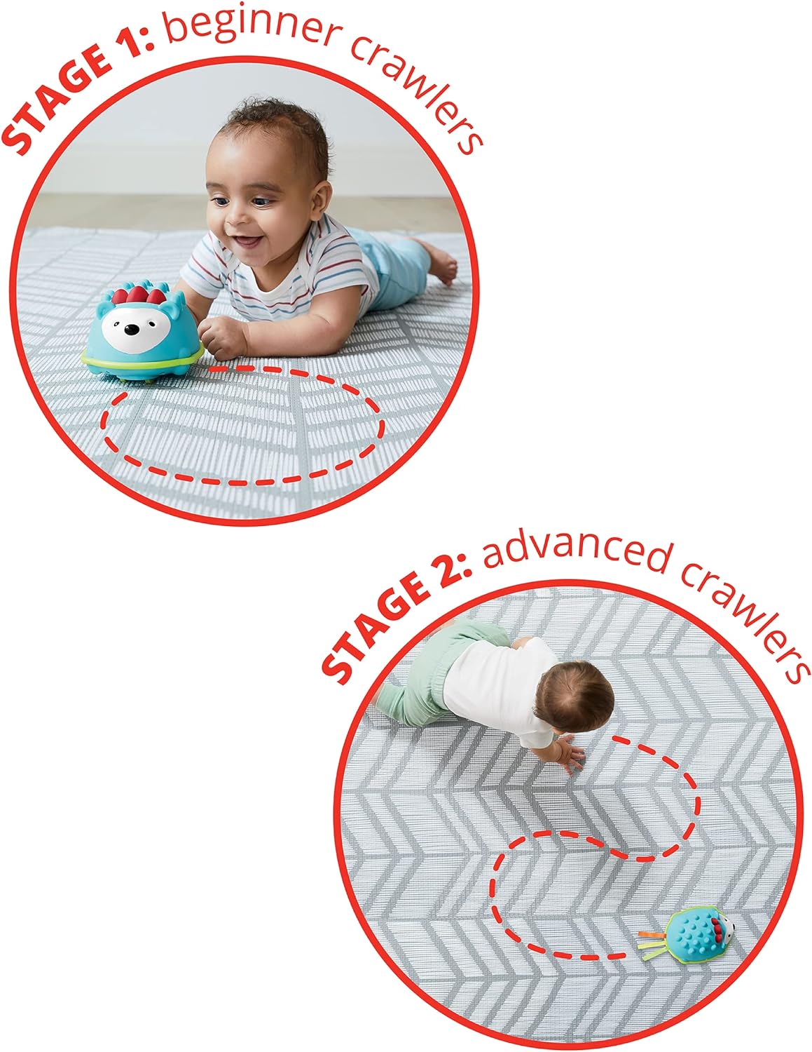 Skip Hop Explore & More Hello Hedgehog Crawl Toy - Laadlee