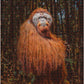 Ambassador - Photographers Collection - 1000 Pc. Puzzle Tri-Pack - Boyd #4 - Laadlee