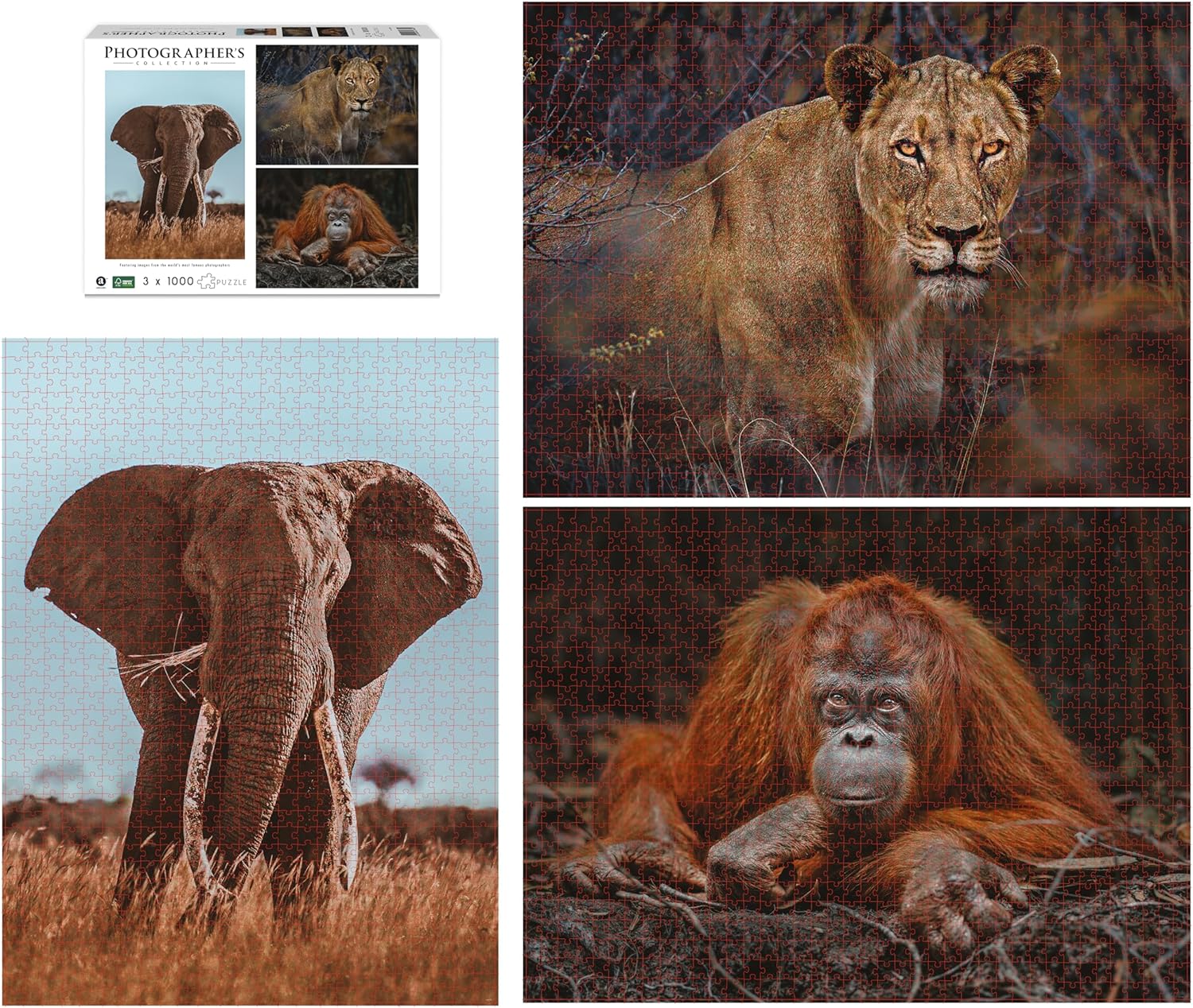 Ambassador - Photographers Collection - 1000 Pc. Puzzle Tri-Pack - Boyd #2 - Laadlee