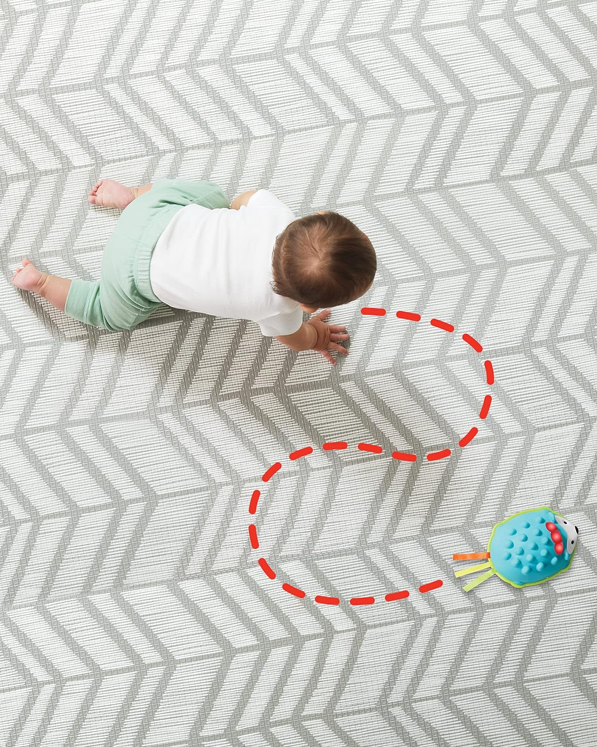 Skip Hop Explore & More Hello Hedgehog Crawl Toy - Laadlee