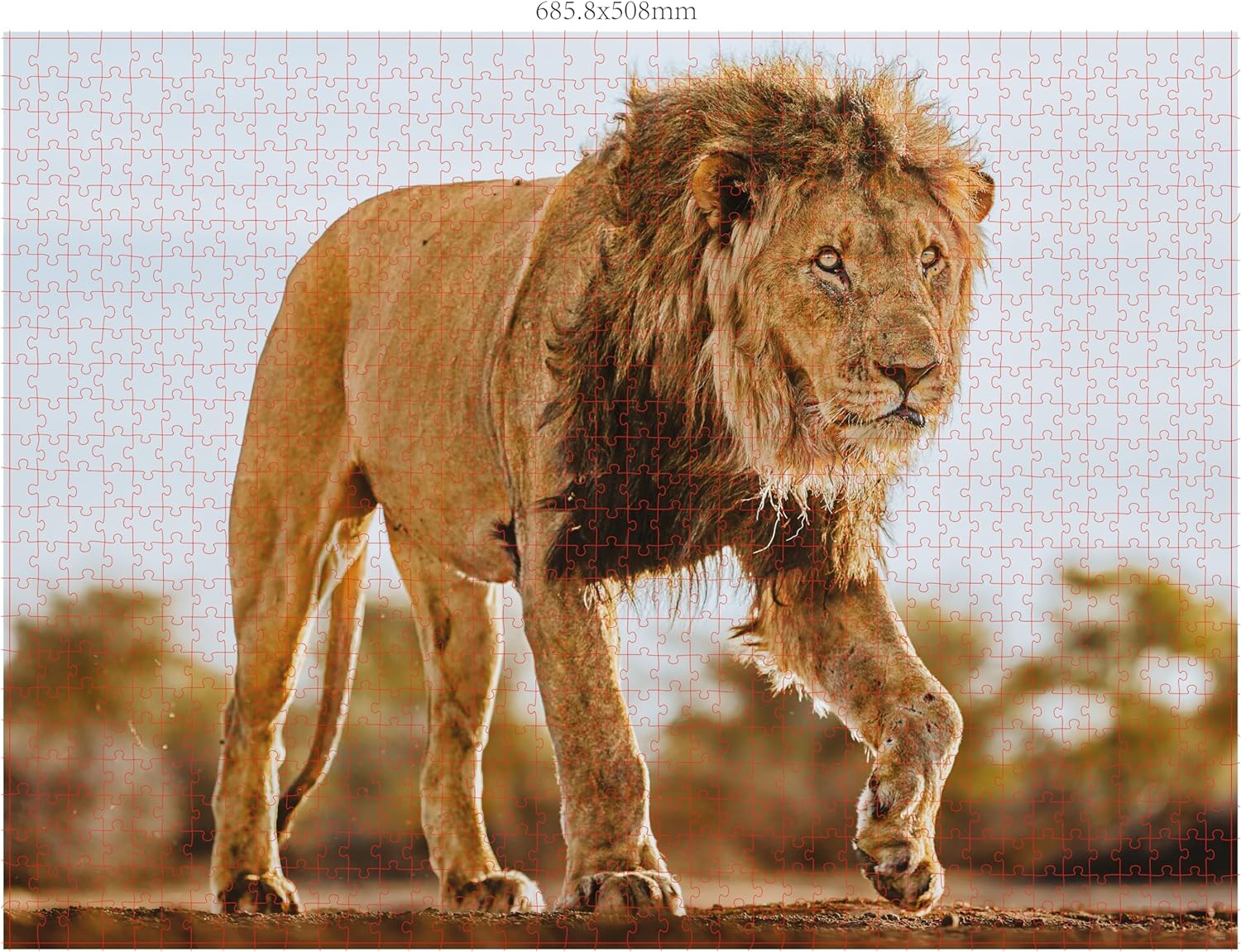 Ambassador - Photographers Collection - 1000 Pc. Puzzle Tri-Pack - Boyd #4 - Laadlee