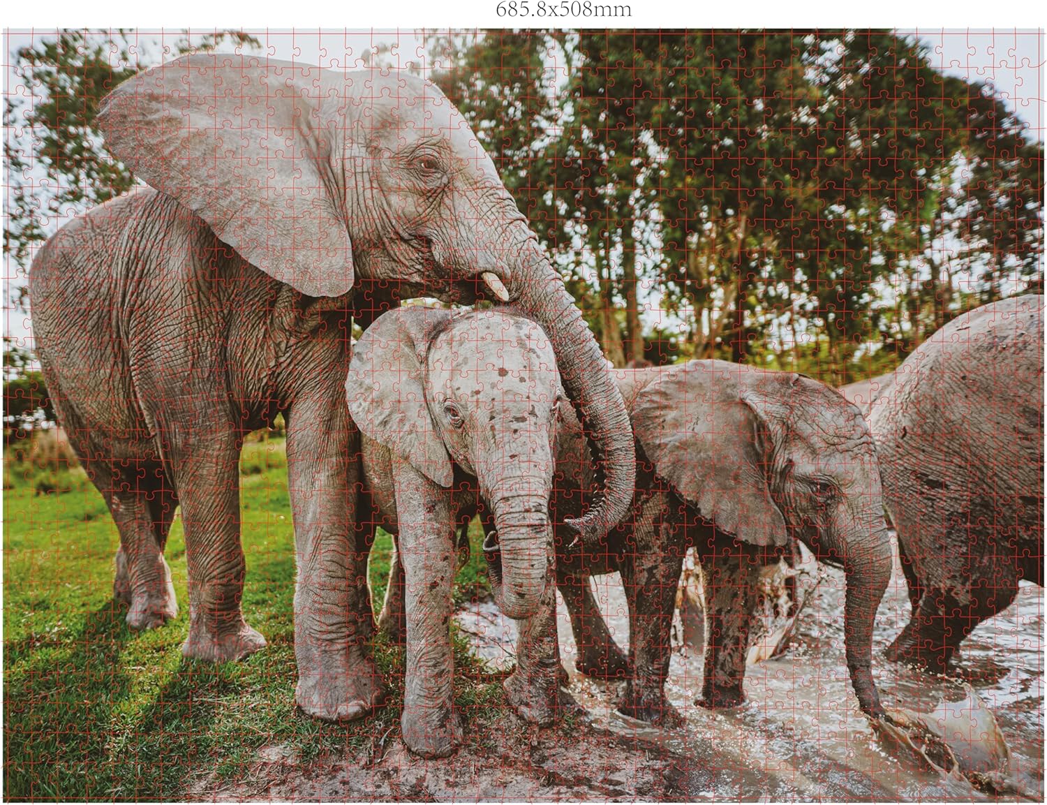Ambassador - Photographers Collection - 1000 Pc. Puzzle Tri-Pack - Boyd #1 - Laadlee
