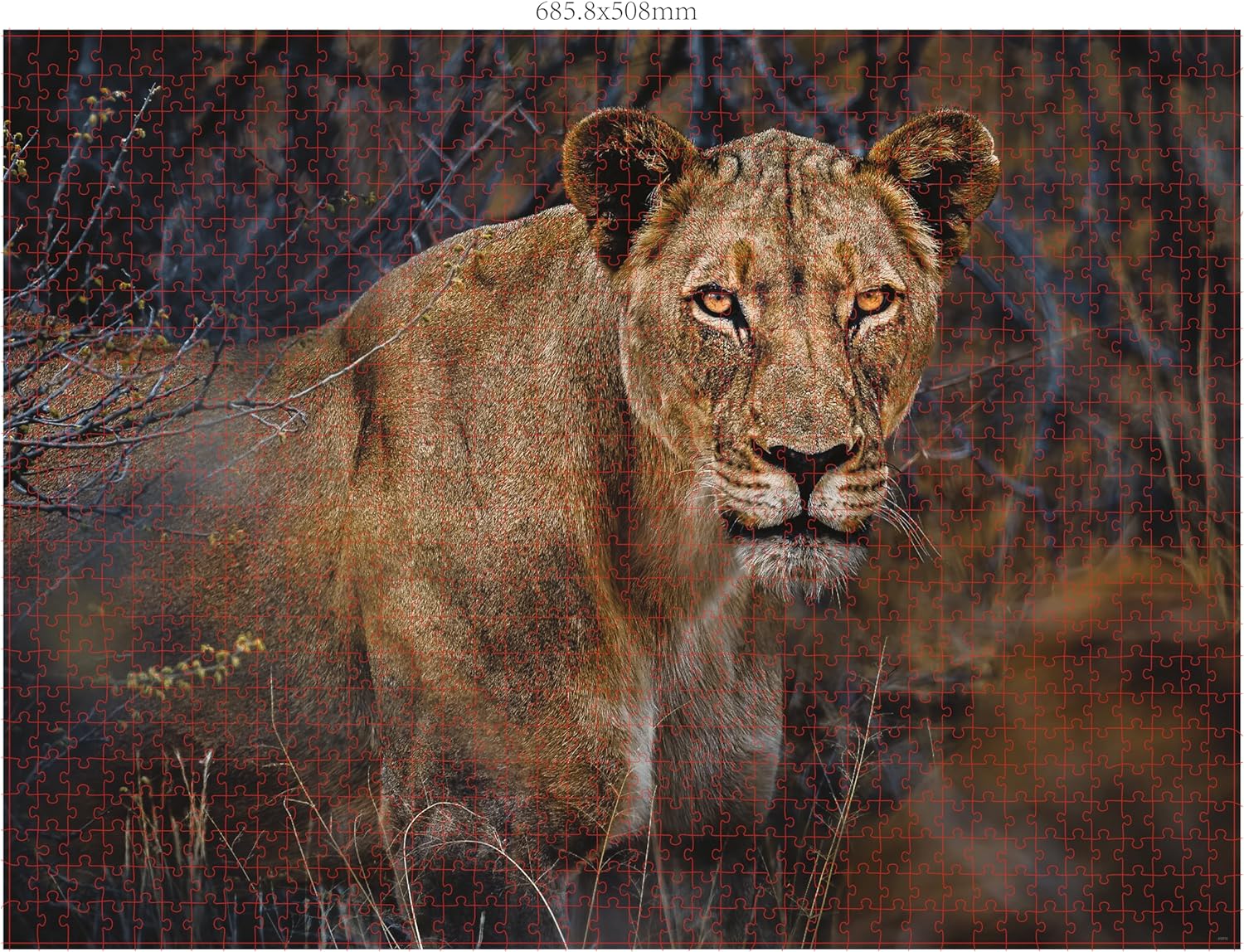 Ambassador - Photographers Collection - 1000 Pc. Puzzle Tri-Pack - Boyd #2 - Laadlee