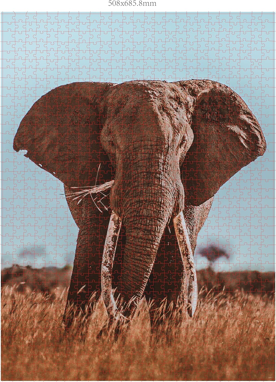 Ambassador - Photographers Collection - 1000 Pc. Puzzle Tri-Pack - Boyd #2 - Laadlee