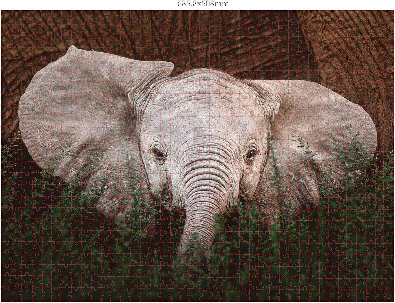 Ambassador - Photographers Collection - 1000 Pc. Puzzle Tri-Pack - Boyd #4 - Laadlee