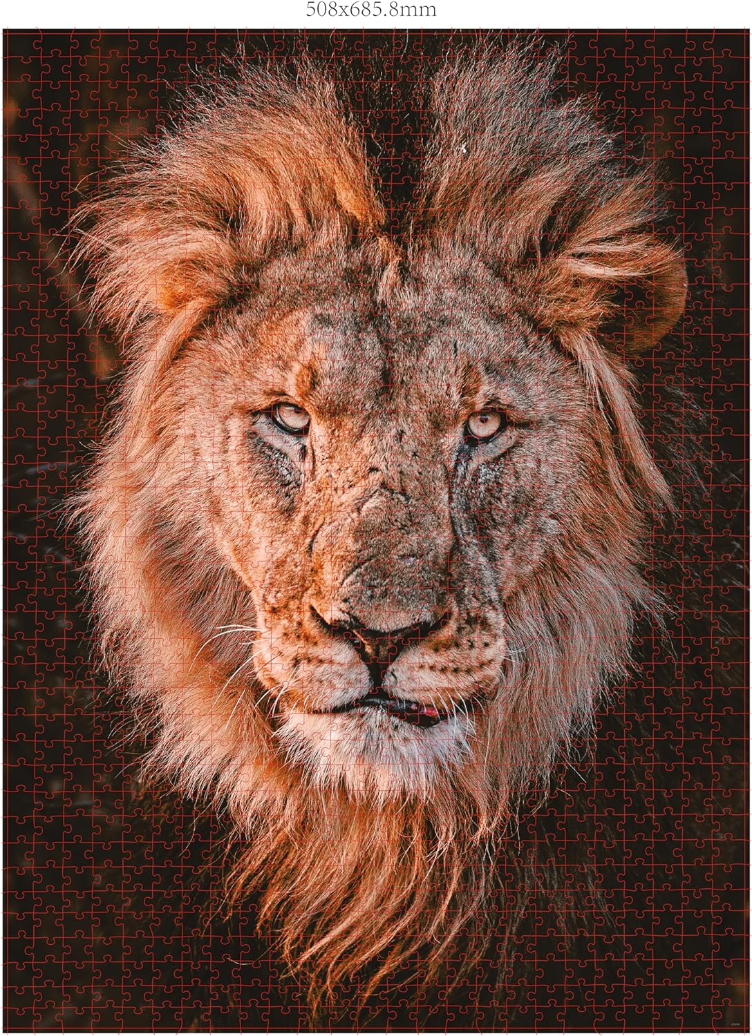 Ambassador - Photographers Collection - 1000 Pc. Puzzle Tri-Pack - Boyd #3 - Laadlee