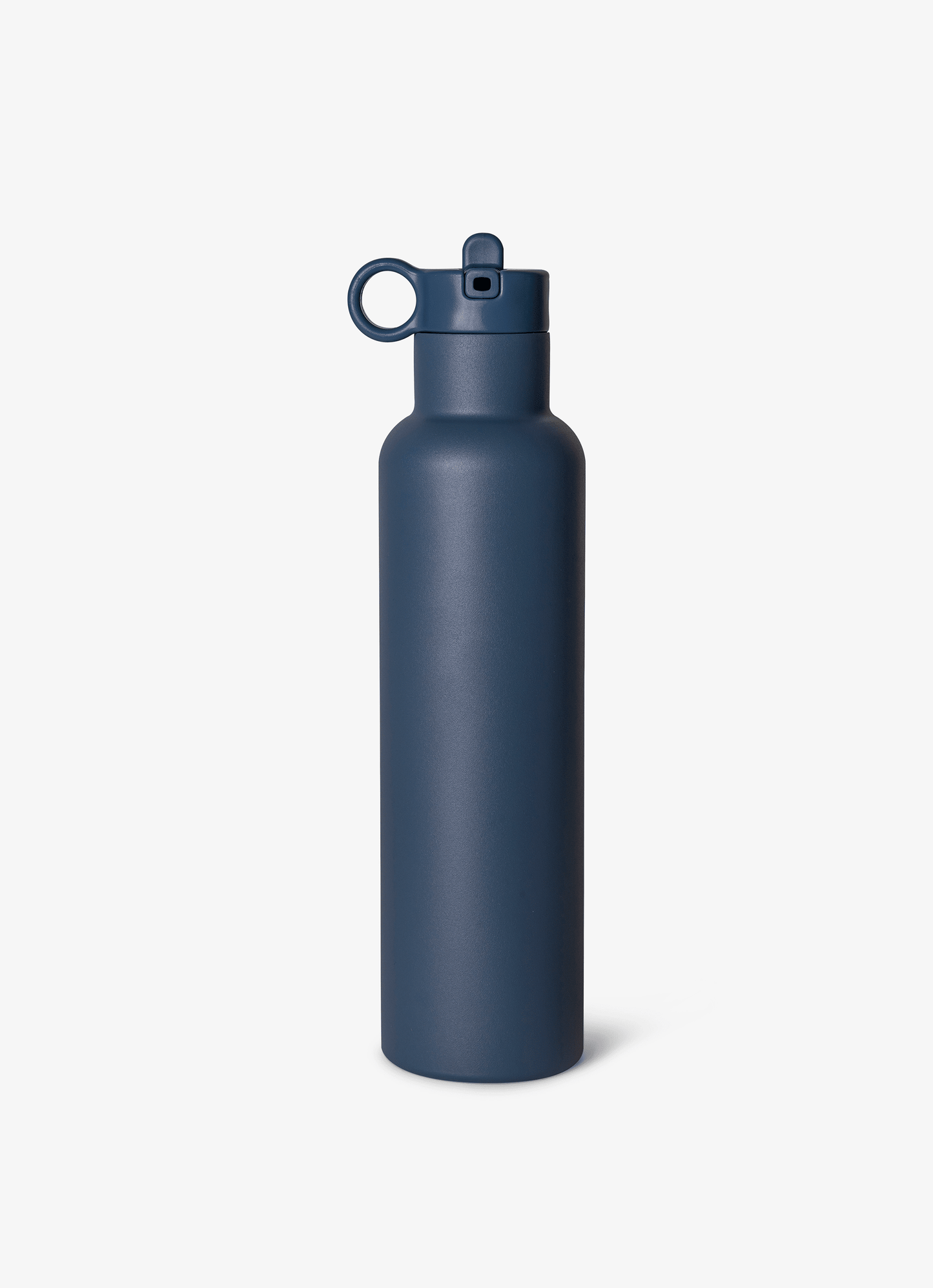 Citron Stainless Steel Water Bottle 750ml - Blue - Laadlee