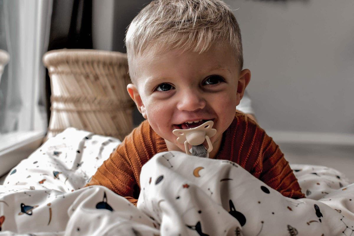 Filibabba Silicone Pacifiers - 6M+, Doeskin, Pack of 2 - Laadlee