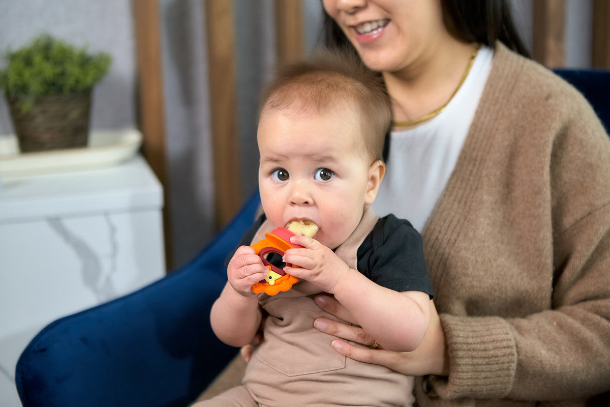 Marcus & Marcus - Silicone Fresh Food Feeder and Popsicle Set - Marcus - Laadlee