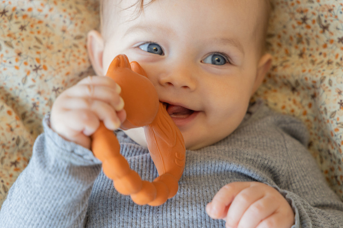 Natruba - Teether Fox - Orange - Laadlee