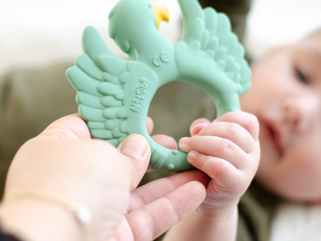 Natruba - Teether Parrot - Light Green - Laadlee